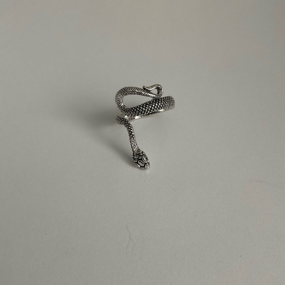 Snake Ring - Picture 1 of 5